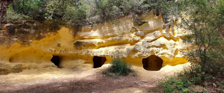 LE GROTTE GIALLE E LA NECROPOLI DELLE TANE DI BIBBONA
