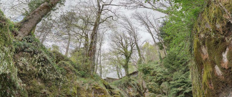IL SENTIERO AD ANELLO DEL MONTE VERNA