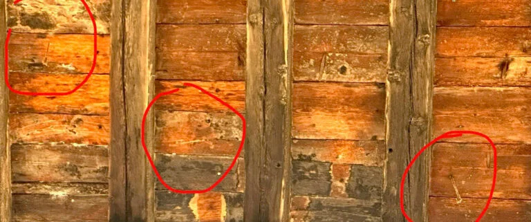 IL PORTICO DELLE TRE FRECCE A BOLOGNA
