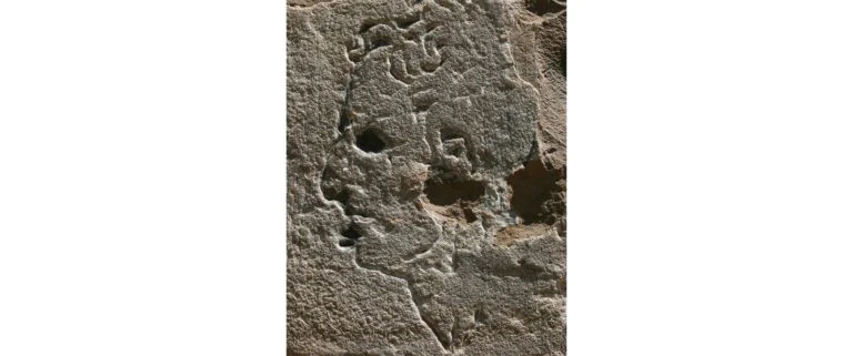 UNO STRANO PROFILO A PALAZZO VECCHIO DI FIRENZE