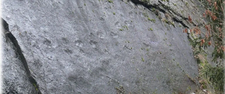 LE IMPRONTE DI ARCOSAURI A ZONE