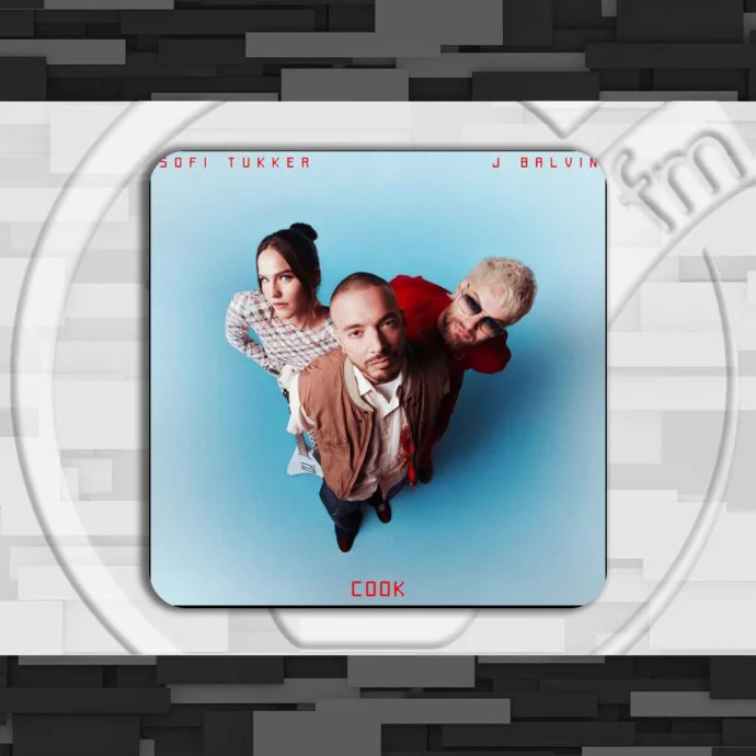 Sofi Tukker & J Balvin – Cook | Significato